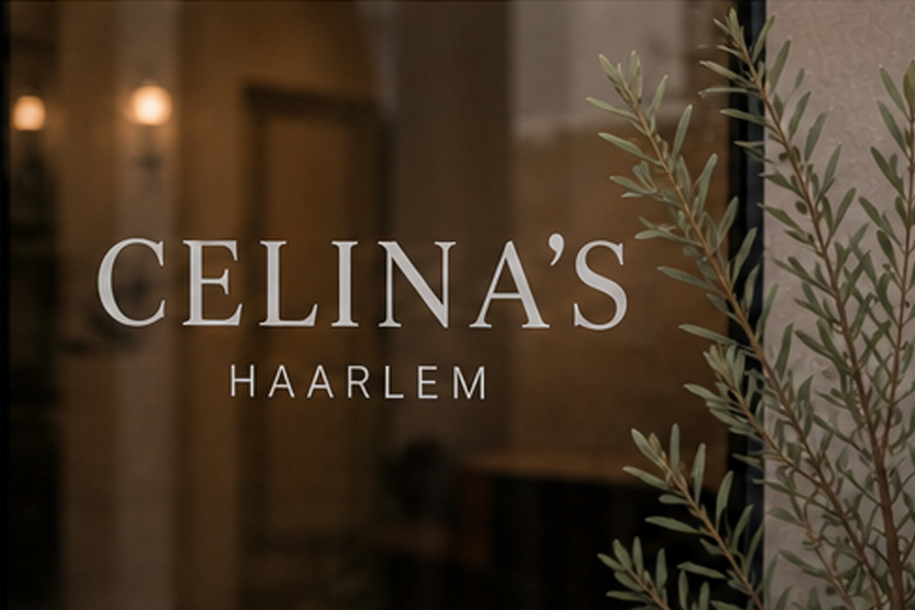 Celina's Haarlem — raam